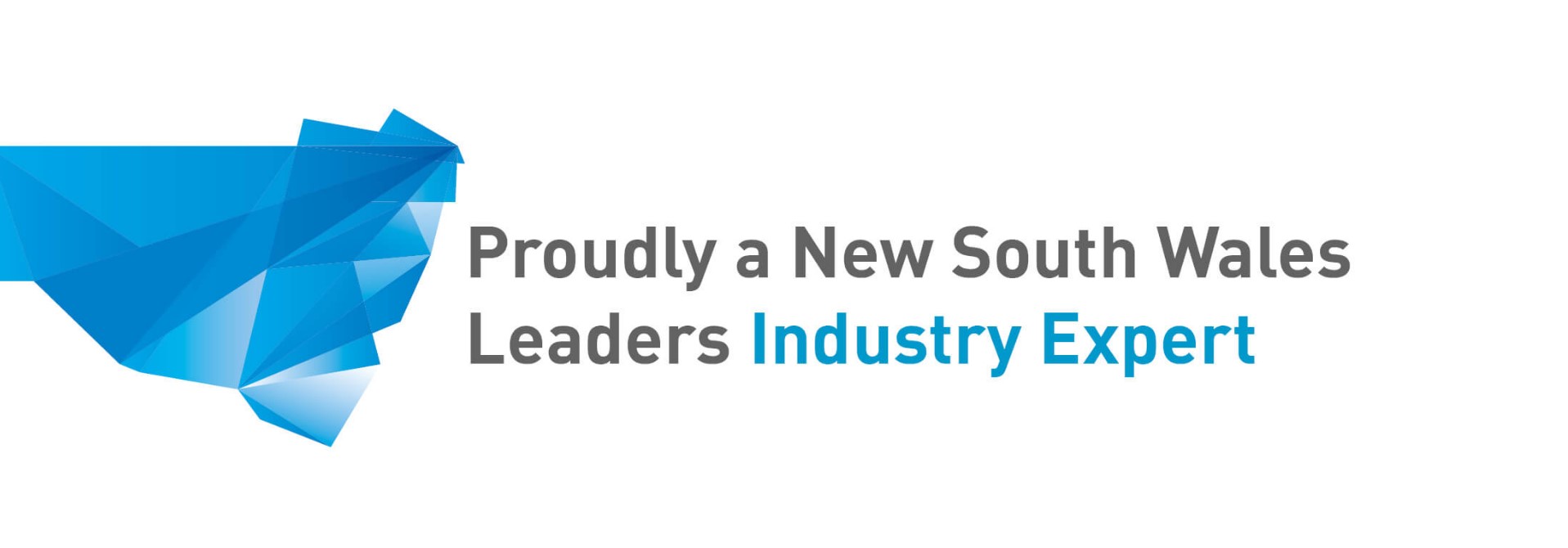NSW Leaders logo for website